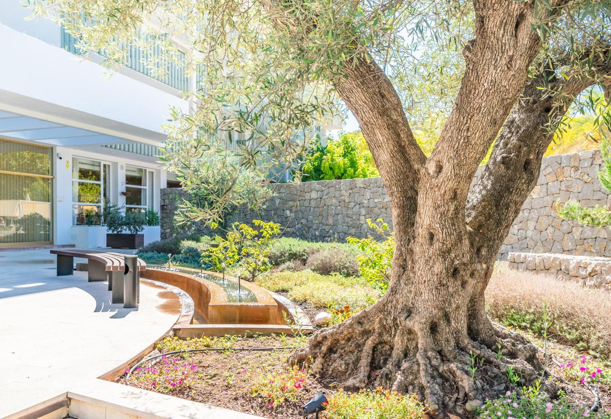 Canyamel Park Hotel & Spa - 4* Sup - Adults Only Εξωτερικό φωτογραφία